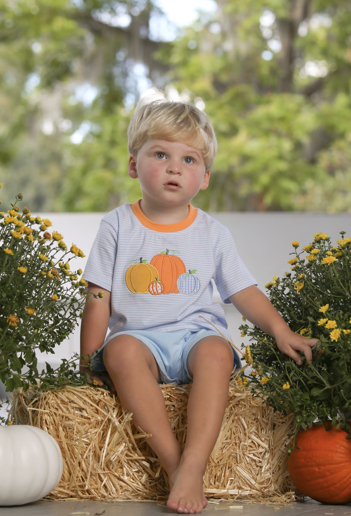 TSK Pumpkin Patch SS Shirt