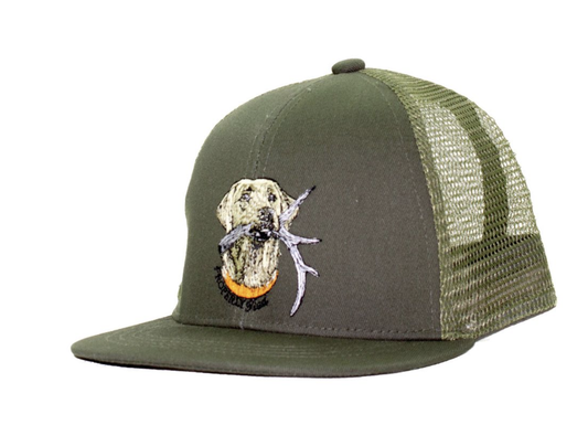 PT Boys Hat Antler Lab