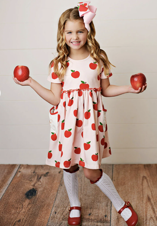 SB Apple & Bow Pocket Embroidery Dress