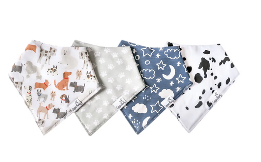 CP Rufus Bandana Bib Set