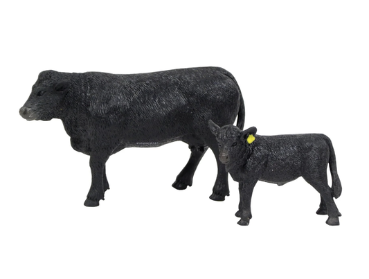 Angus Cow & Calf