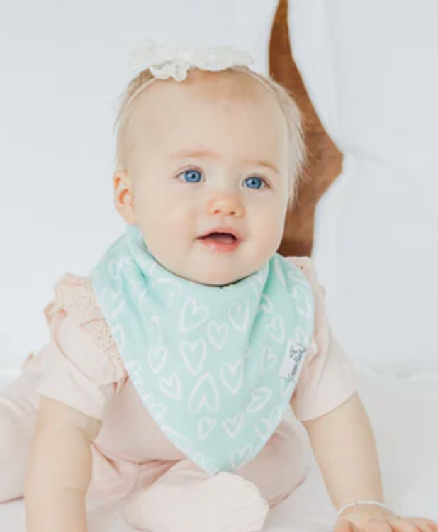 CP Cheery Bib Set