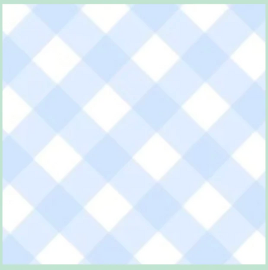 AI Blue Gingham Nap Mat