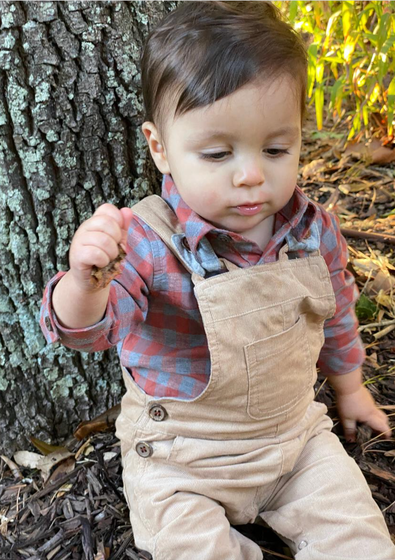 Stone Jellico Cord Overalls