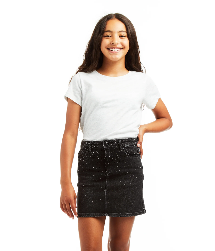 Lisa Mini Skirt With Ombre Studs