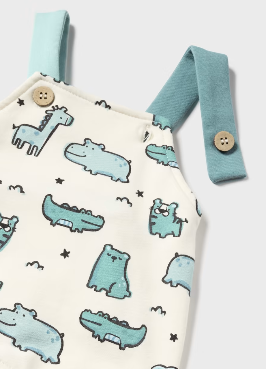 Glacier Safari Overall 2pc Set