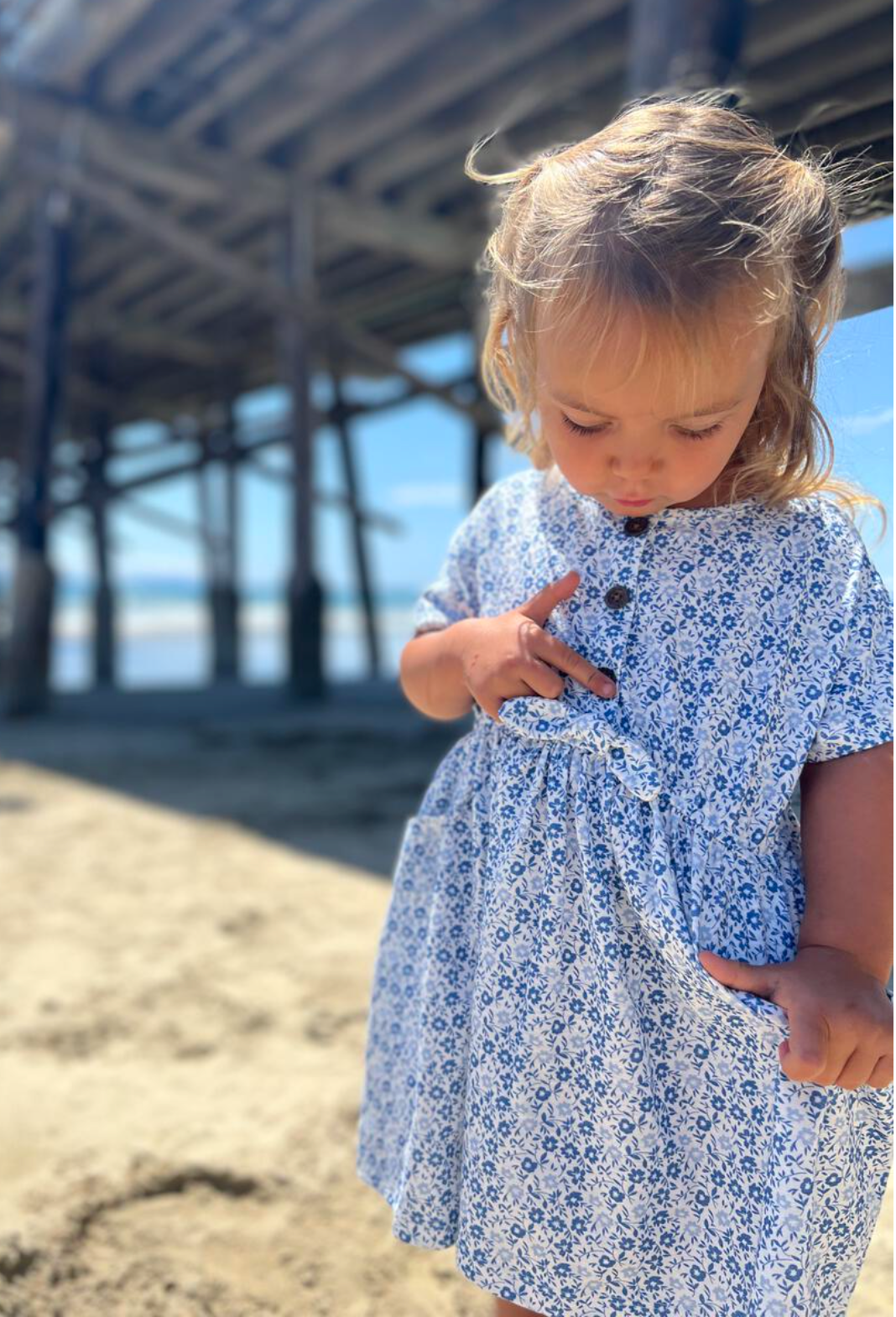 Daisy Dress in Blue Ditsy Floral