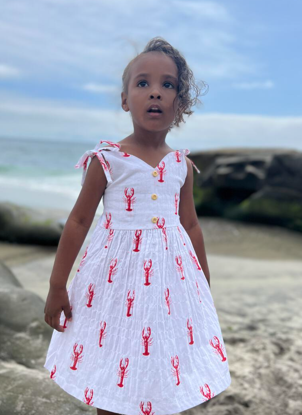 Penny Lobsters Dress