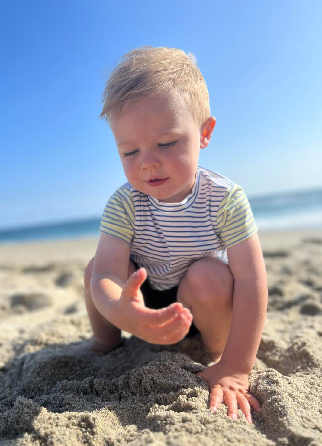 Hastings Royal/White Tee