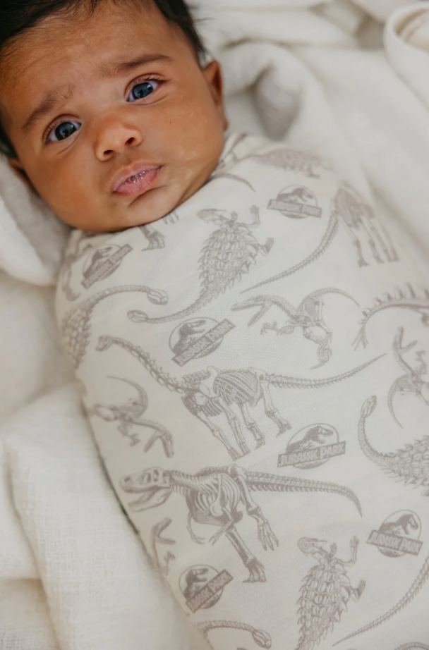 CP Jurassic Park Fossils Swaddle