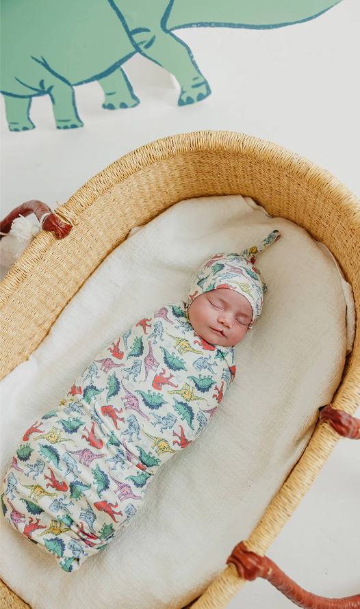 CP Dinosaurs of Jurassic Park Swaddle