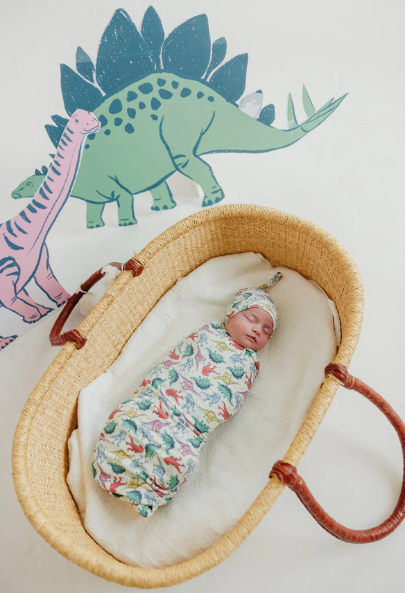 CP Dinosaurs of Jurassic Park Swaddle