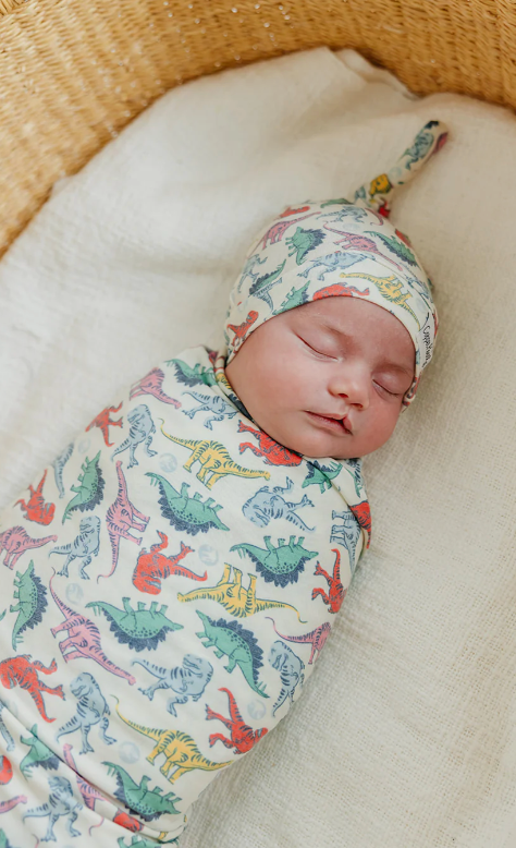 CP Dinosaurs of Jurassic Park Swaddle