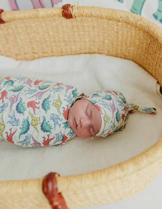 CP Dinosaurs of Jurassic Park Swaddle