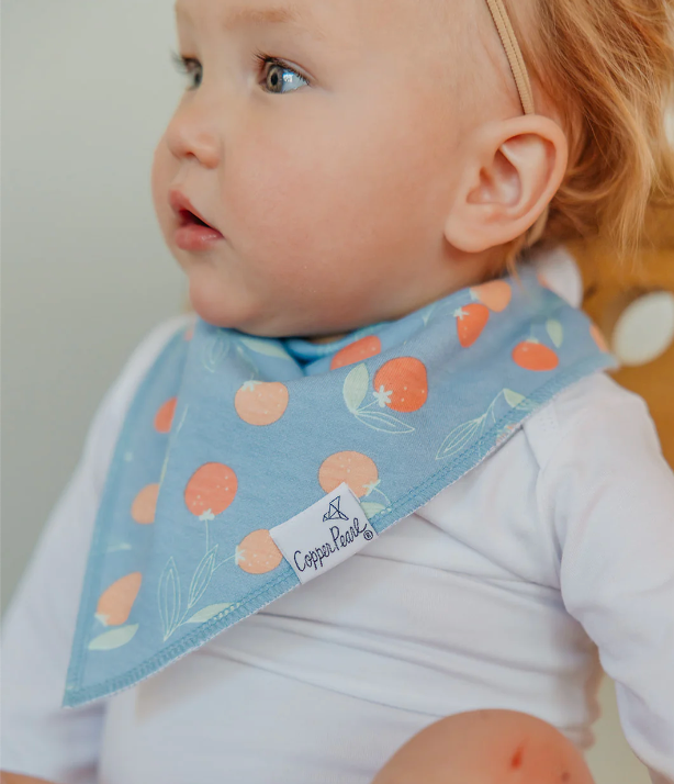 CP Clementine Bib Set