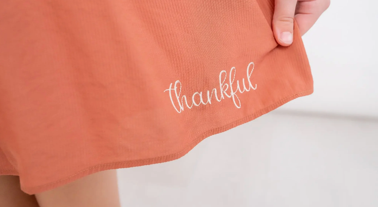 Evie's Closet Pumpkin Patch Rust Chocolate Ivory Emb Dress