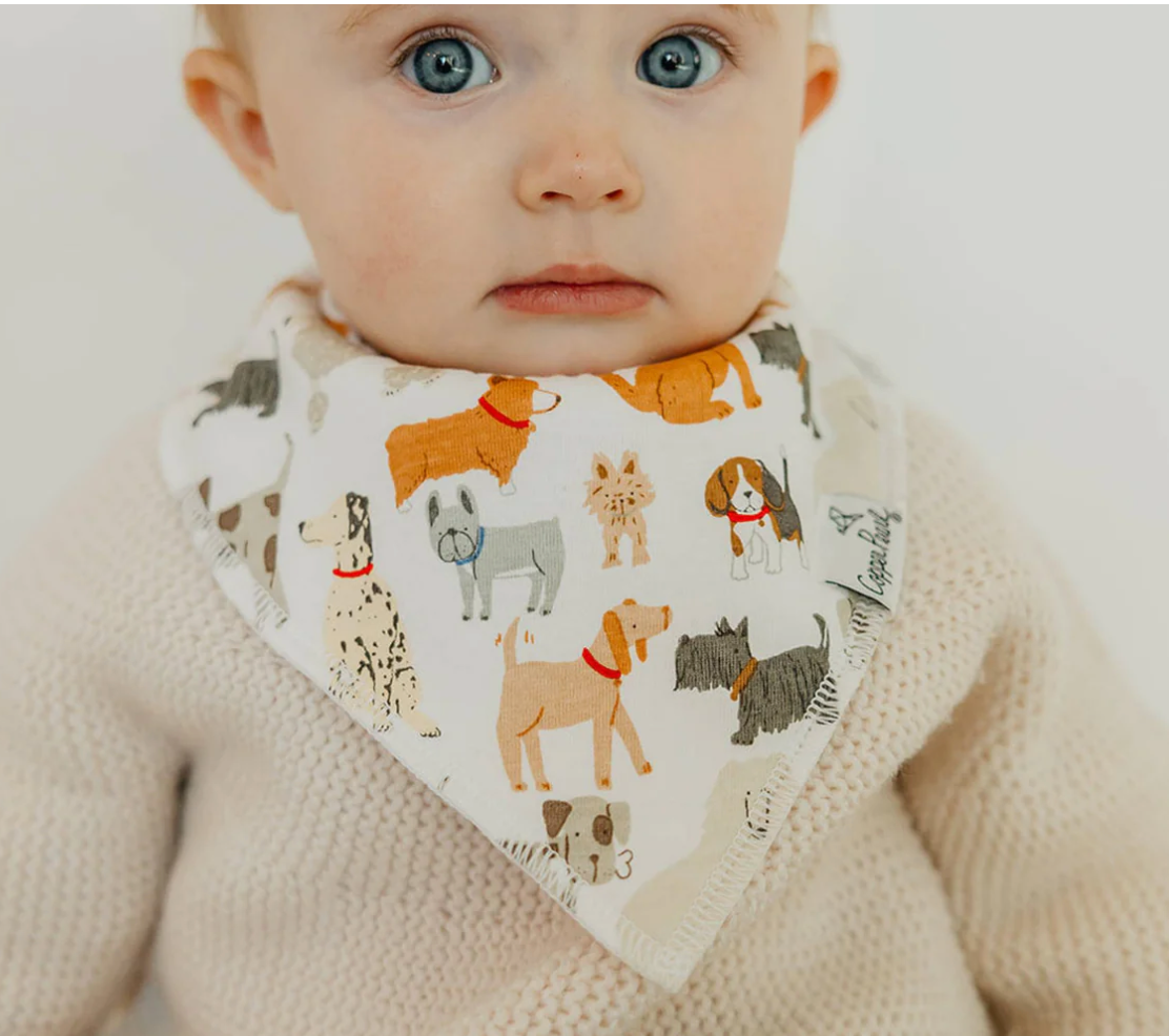 CP Rufus Bandana Bib Set