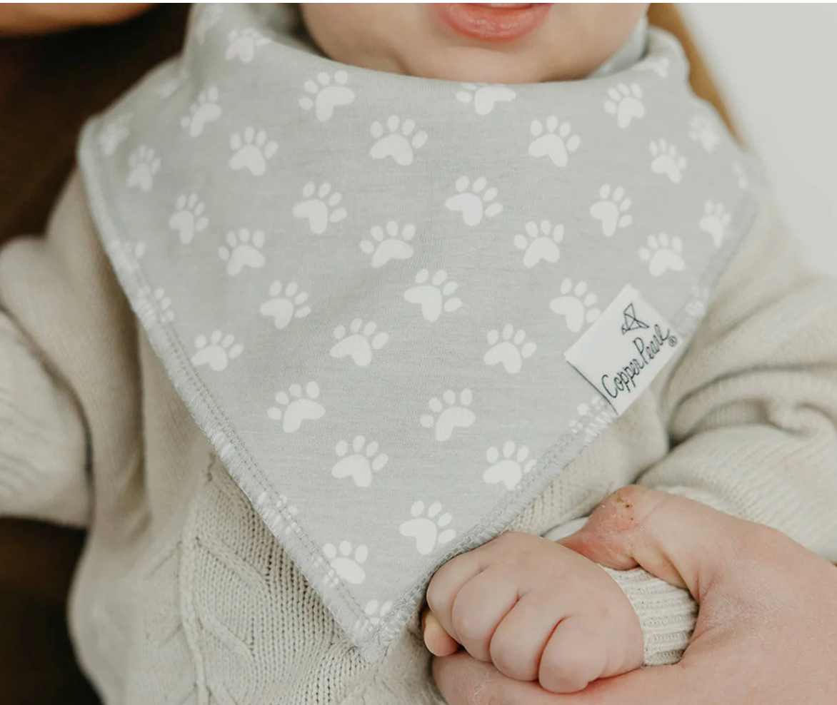 CP Rufus Bandana Bib Set