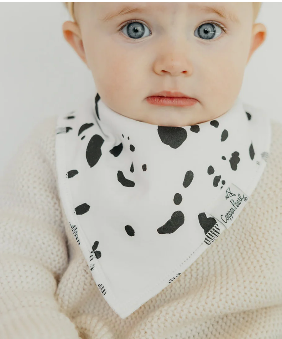 CP Rufus Bandana Bib Set