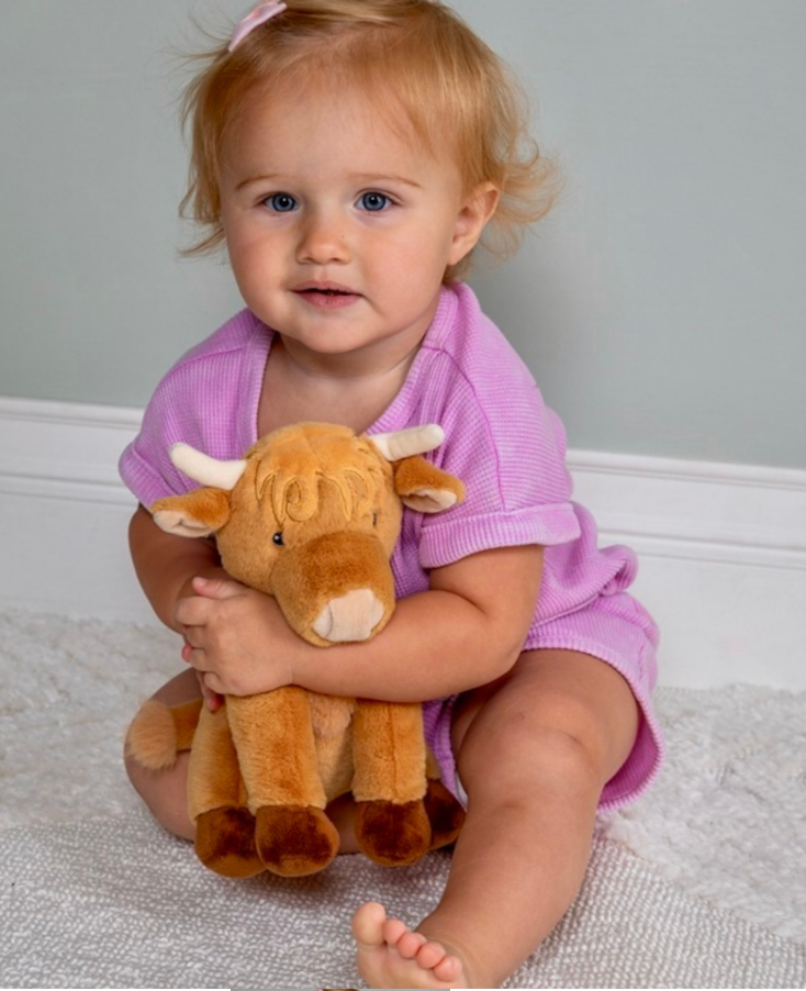 Hetty Highland Cow Soft Toy – 10″