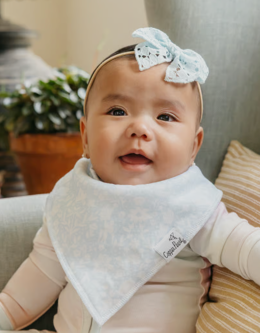 Copper Pearl Disney Princess Bandana Bib Set (4-Pack)