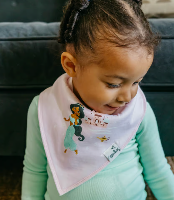 Copper Pearl Disney Princess Bandana Bib Set (6-pack)