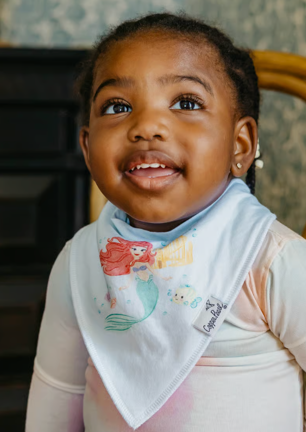 Copper Pearl Disney Princess Bandana Bib Set (6-pack)