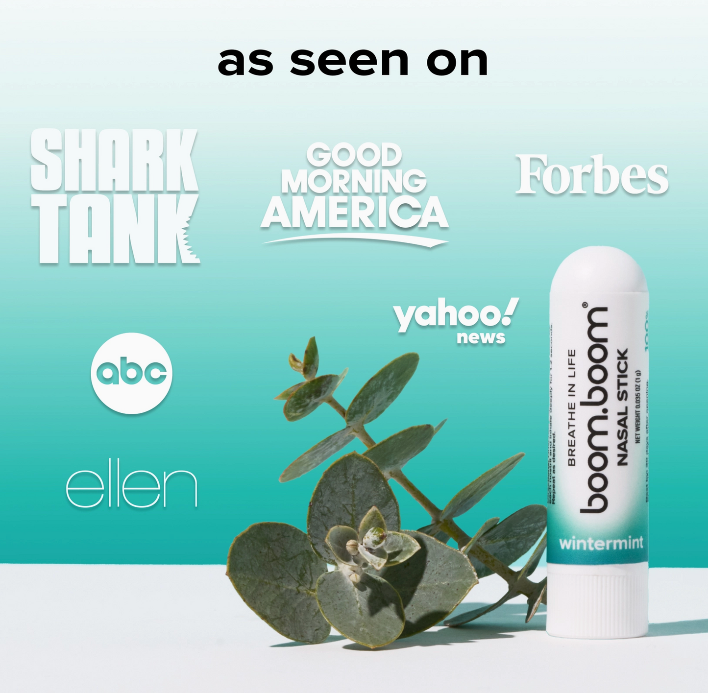 Boom Boom Nasal Stick Wintermint