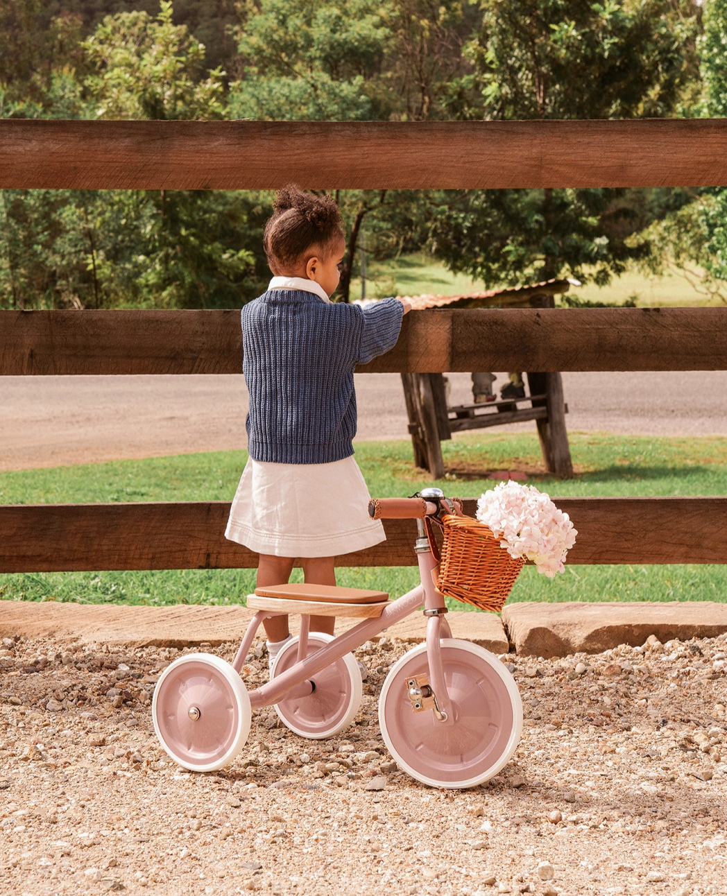 Banwood Trike Dusty Pink
