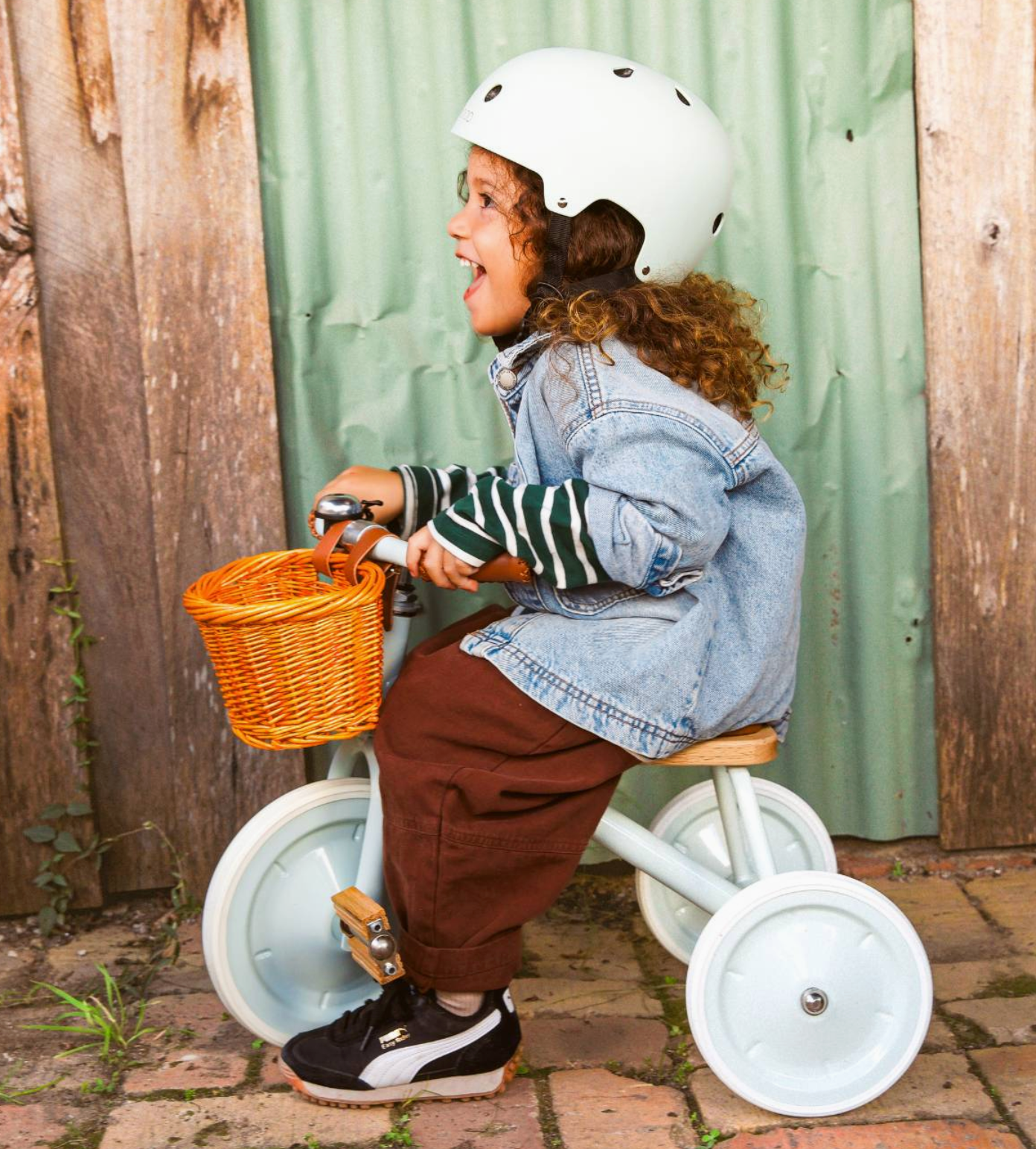 Banwood Trike Pale Mint