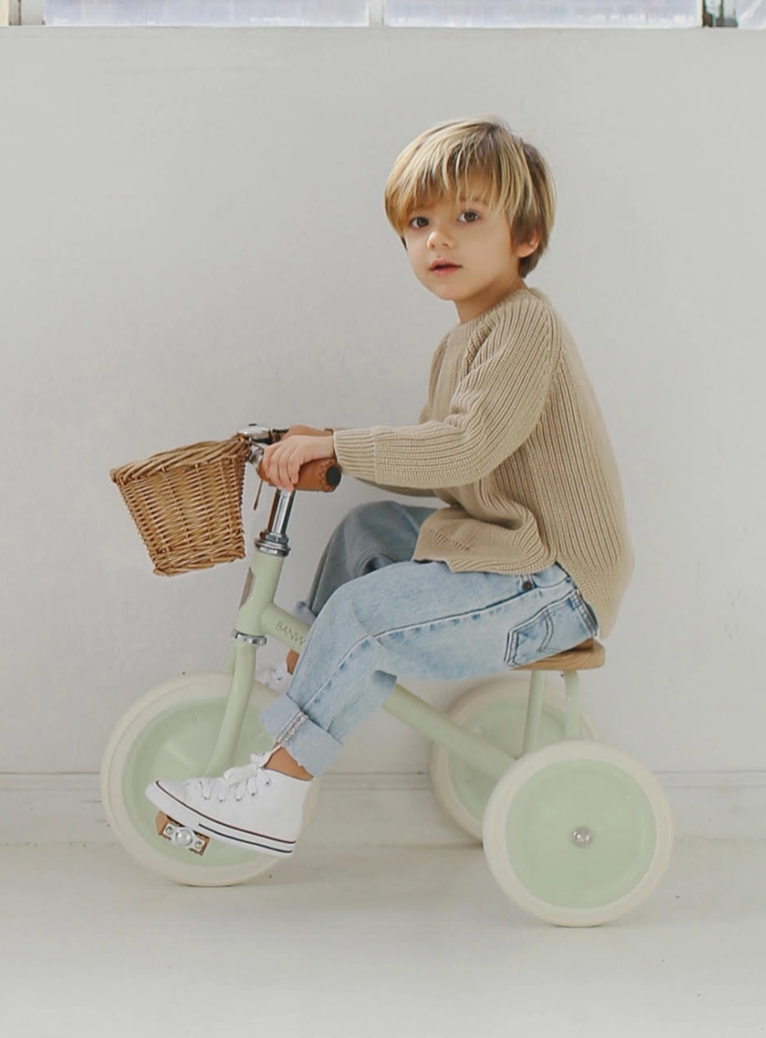 Banwood Trike Pale Mint