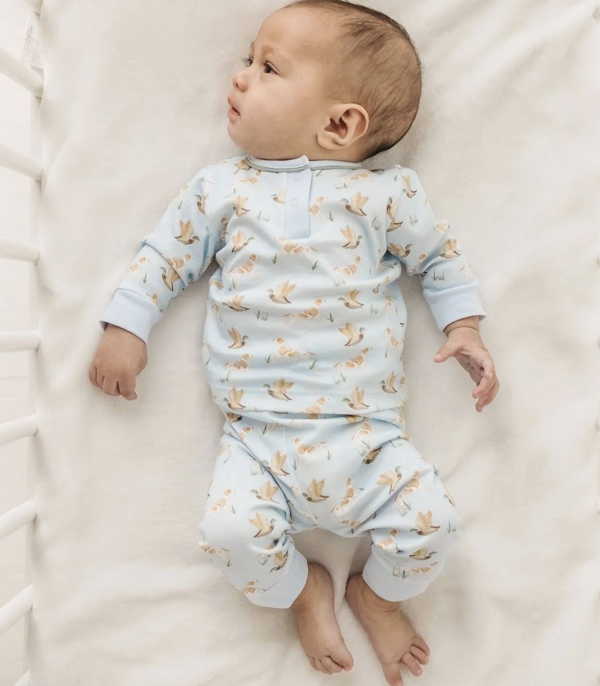 Magnolia Baby Duck and Hound Zip Playsuit