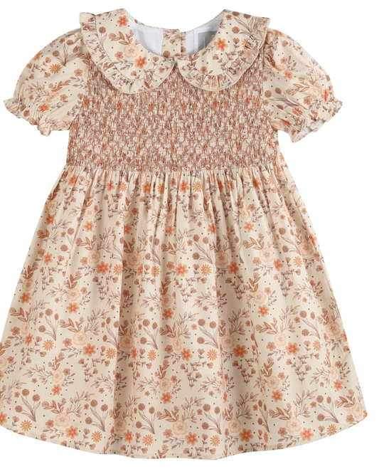 Lil Cactus Brown Floral Collared Dress