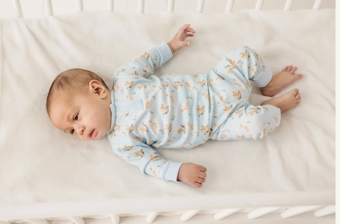 Magnolia Baby Duck and Hound Zip Playsuit