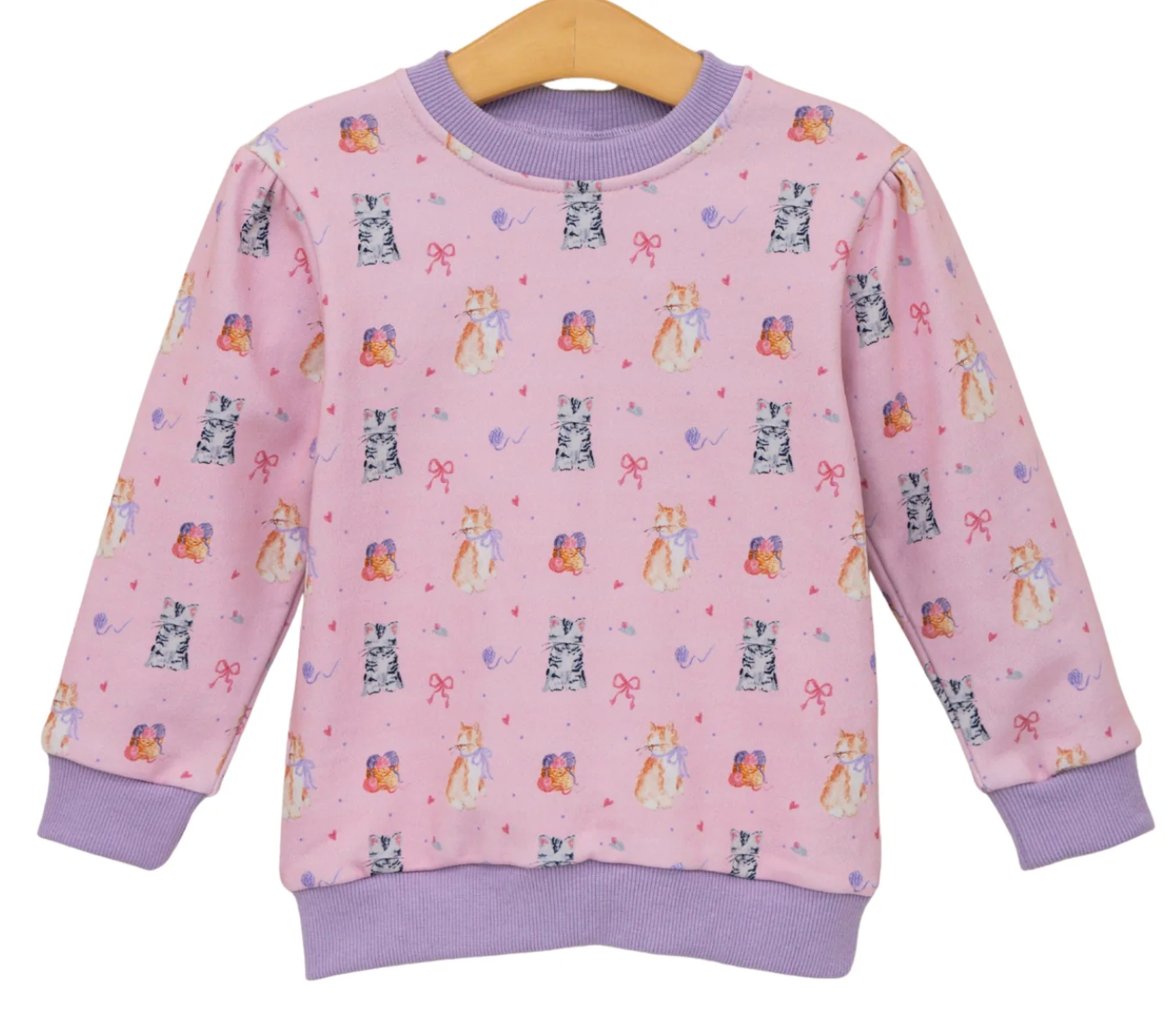 Trotter Street Kids Fluffy Friends French Terry Pullover