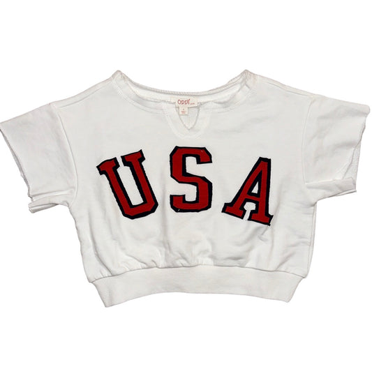 Red, White & USA Shirt