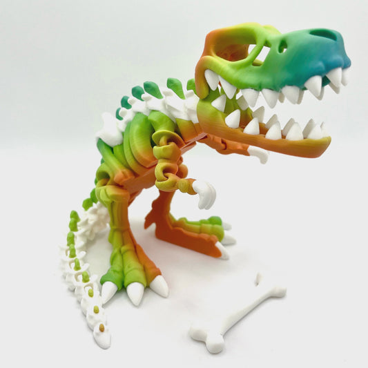 Bumpa Built Two Color TRex Skeleton Classic - Rainbow