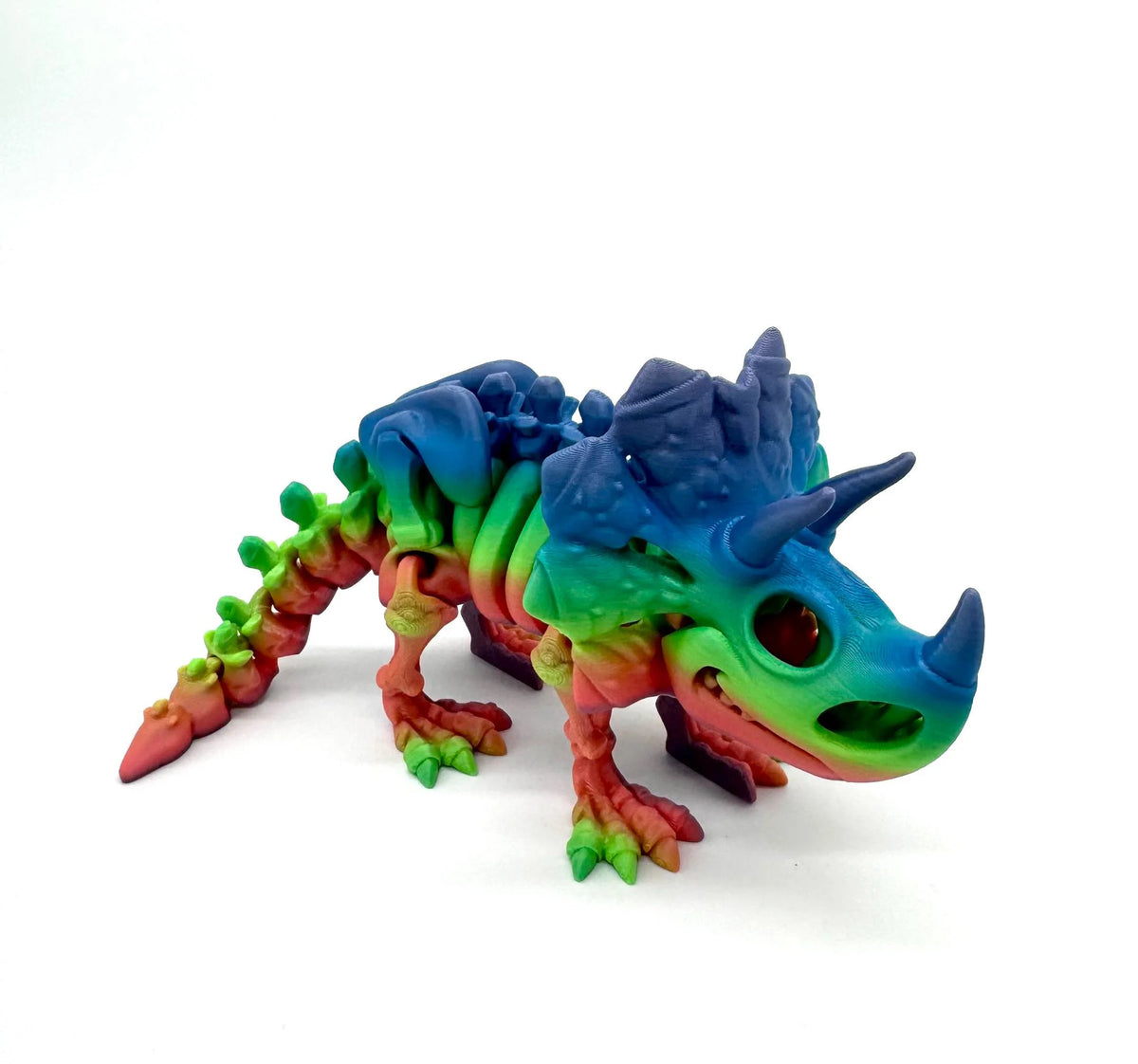 Bumpa Built Triceratops Skeleton