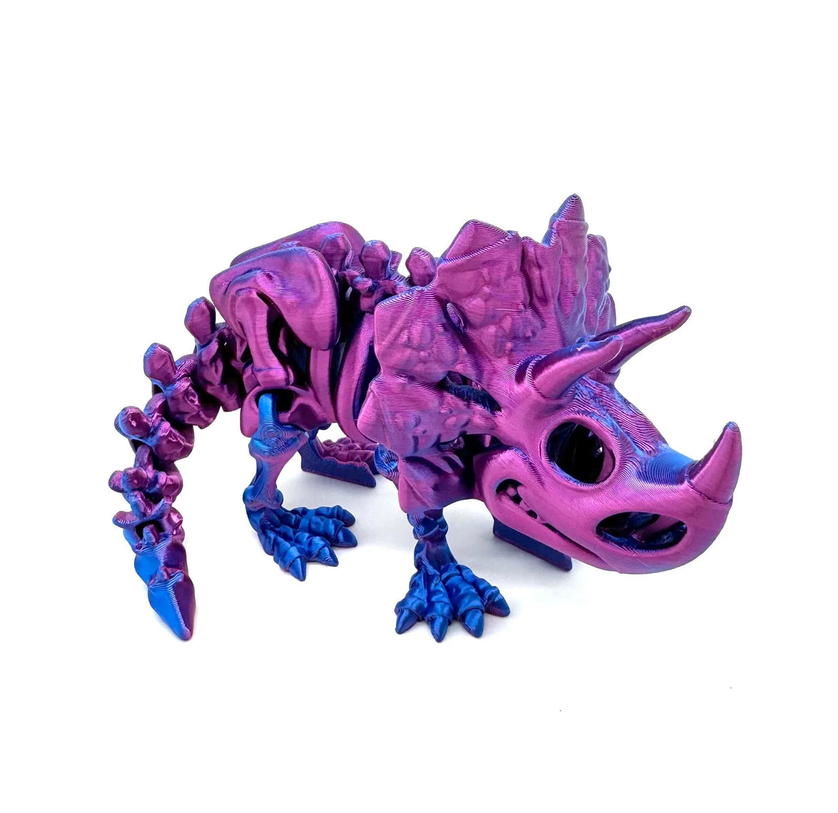 Bumpa Built Triceratops Skeleton