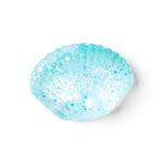 Goolala Squishies Jelly Shelly