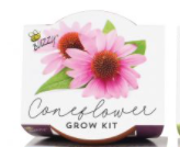 Coneflower Mini Grow Kit