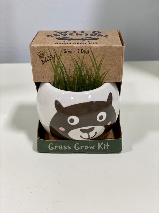 Bear Ceramic Kit