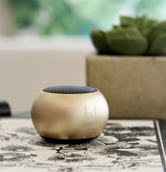 Mini Speaker Gold