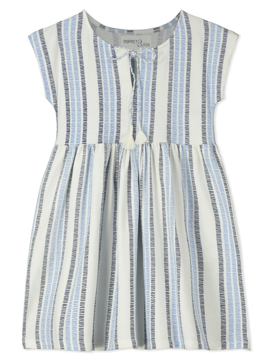 Jodhpur Blue/Navy Print Dress