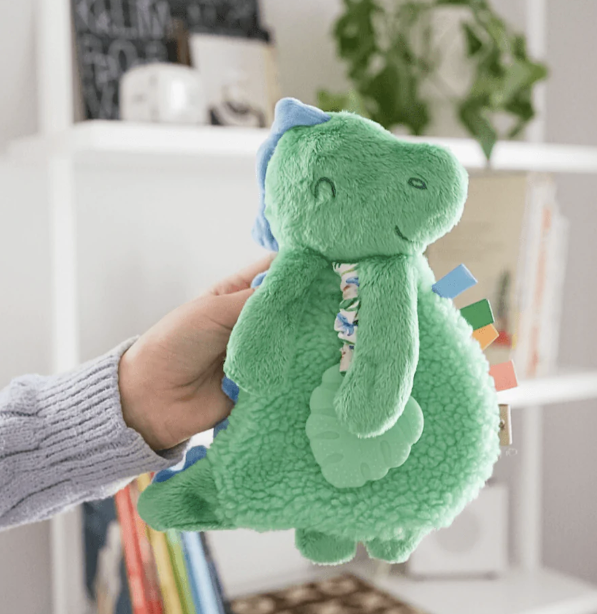 James the Dino Plush Silicone Teether Toy