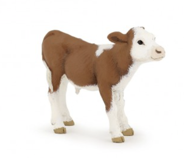 Simmental Calf