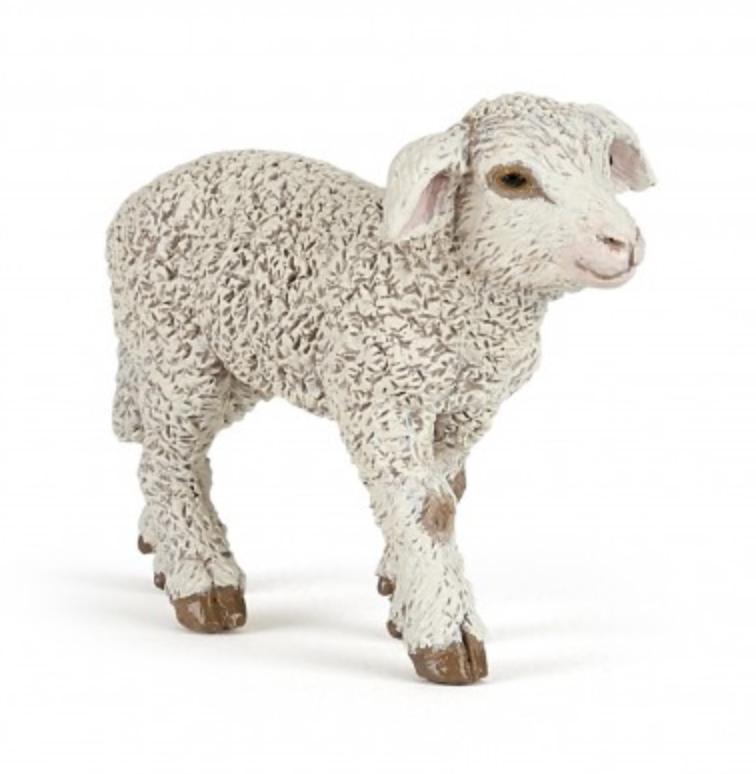 Merinos Lamb