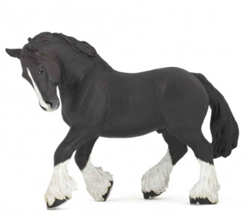 Black shire horse