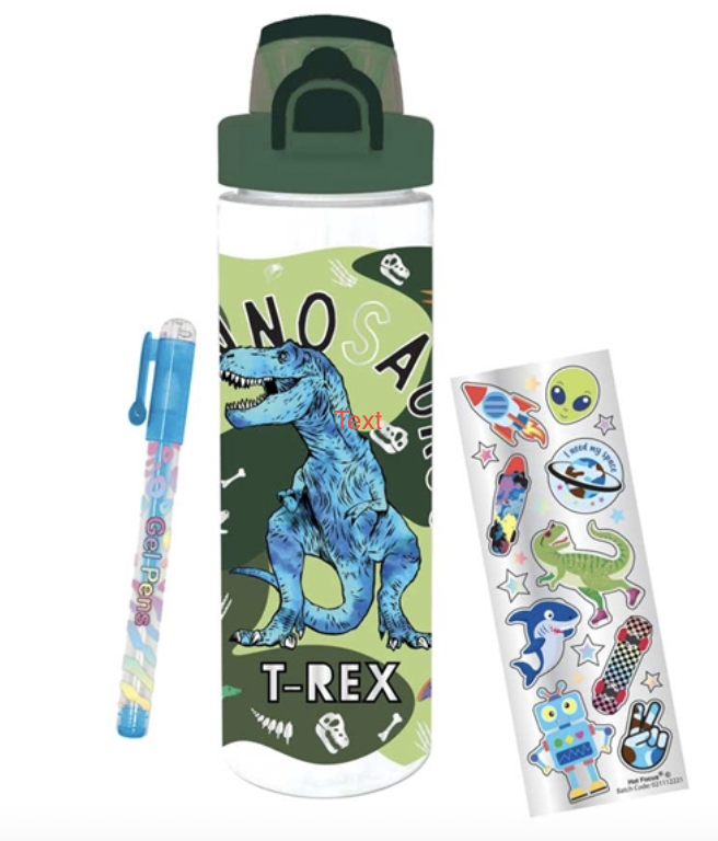 Dinosaur Pop-Open Water Bottle