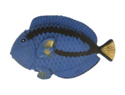 Blue Tang Water Soaker